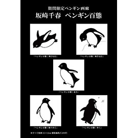 ペンギン百態